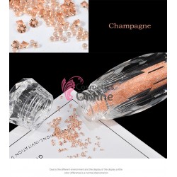 Decor Pixie pentru unghii naturale sau false PX29 Campagne